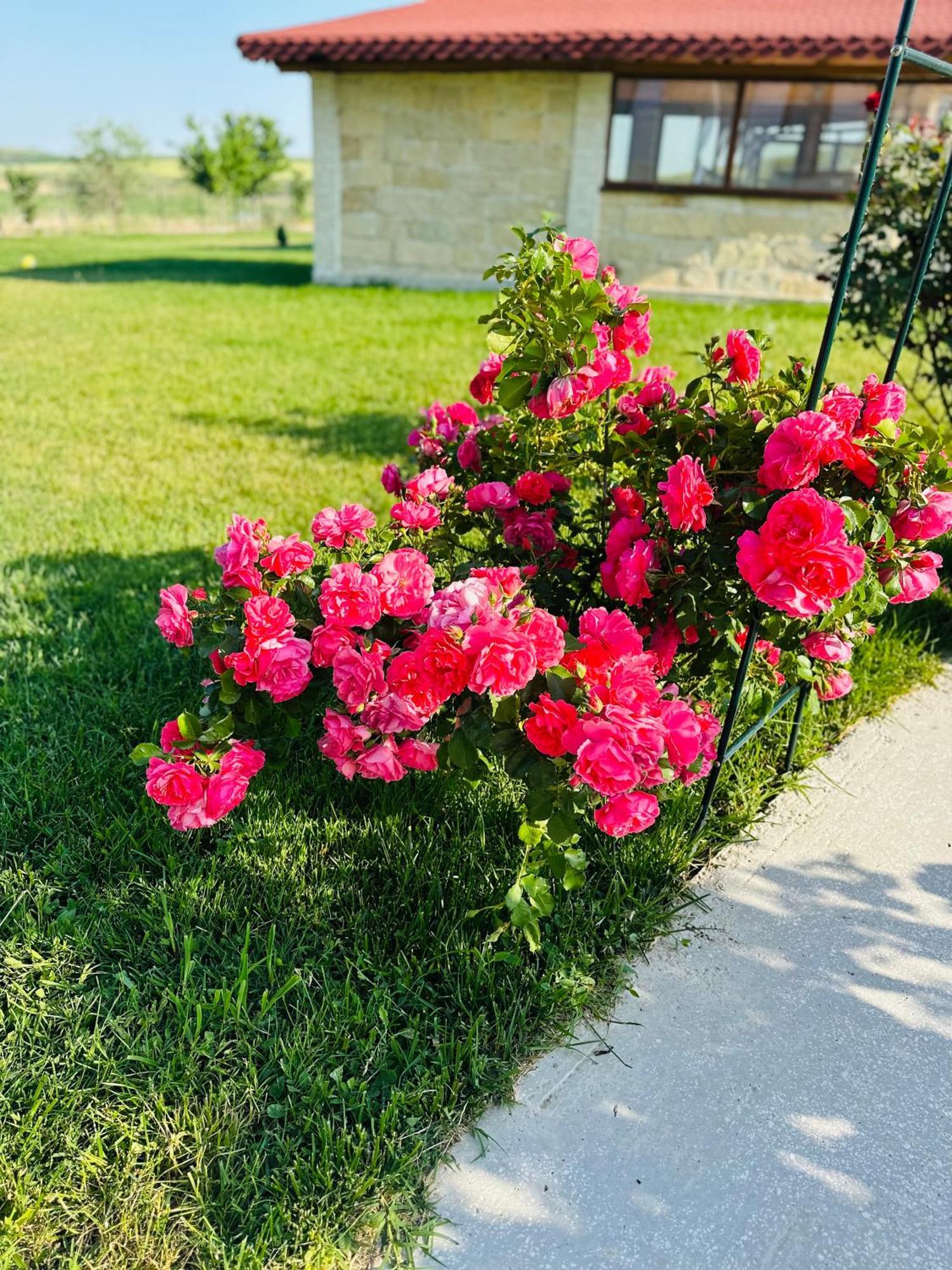 Pensiunea Fabian Otel Jurilovca Dış mekan fotoğraf
