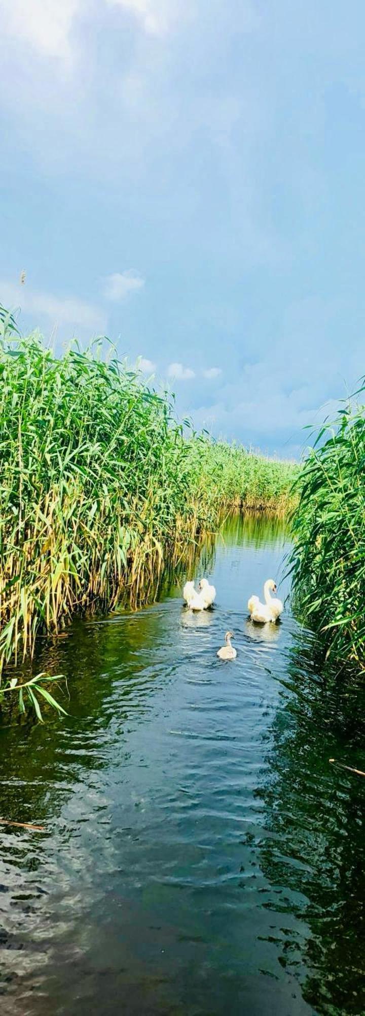 Pensiunea Fabian Otel Jurilovca Dış mekan fotoğraf